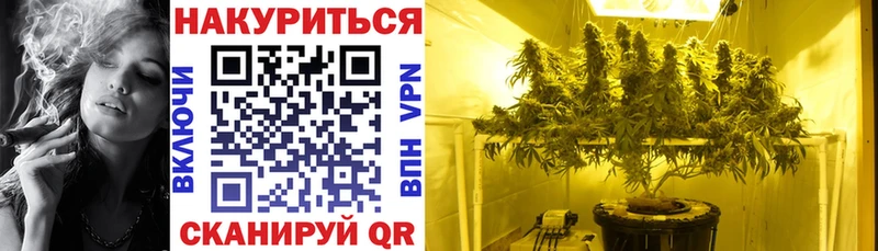 Каннабис план  Купить где  Евпатория 